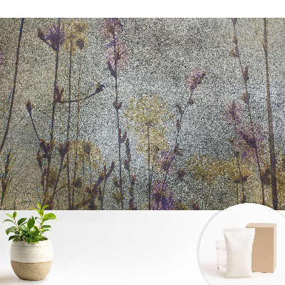 Fototapeta flizelinowa do salonu Eteryczne kwiaty polne