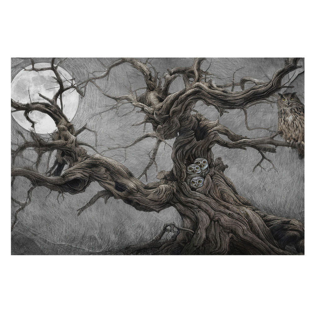 Fototapeta do salonu Magiczna nocna sceneria z sowami