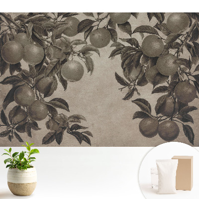 Fototapeta do salonu Monochromatyczne owoce retro liście vintage