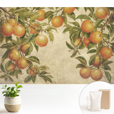 Nowoczesna fototapeta na wymiar Delikatne gałęzie pełne cytrusów