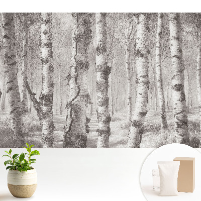 Fototapeta na flizelinie z nadrukiem brzozowego lasu