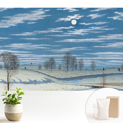 Fototapeta flizelinowa z nadrukiem nastrojowego zimowego krajobrazu pod księżycem