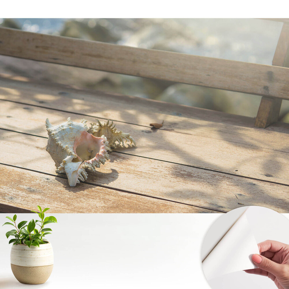 Fototapeta Muszla na drewnianej ławce