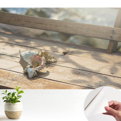 Fototapeta Muszla na drewnianej ławce