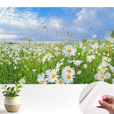 Fototapeta do salonu Kwiecista łąka latem