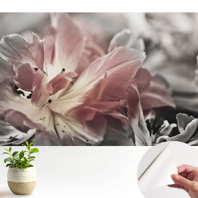 Fototapeta z nadrukiem samoprzylepna Zbliżenie delikatnych kwiatowych płatków