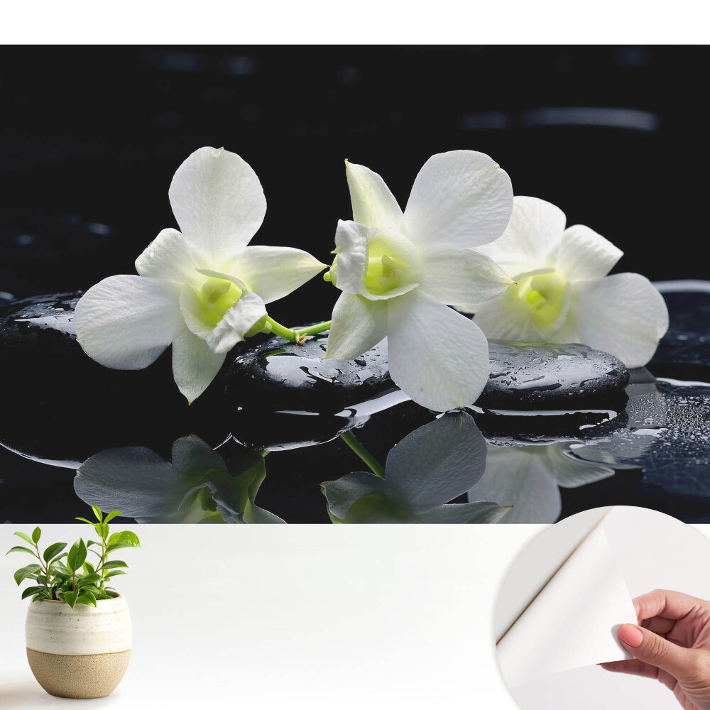 Nowoczesna fototapeta na wymiar Białe orchidee na kamieniach.