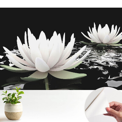 Fototapeta na wymiar do sypialni Eleganckie lilie wodne na ciemnym tle