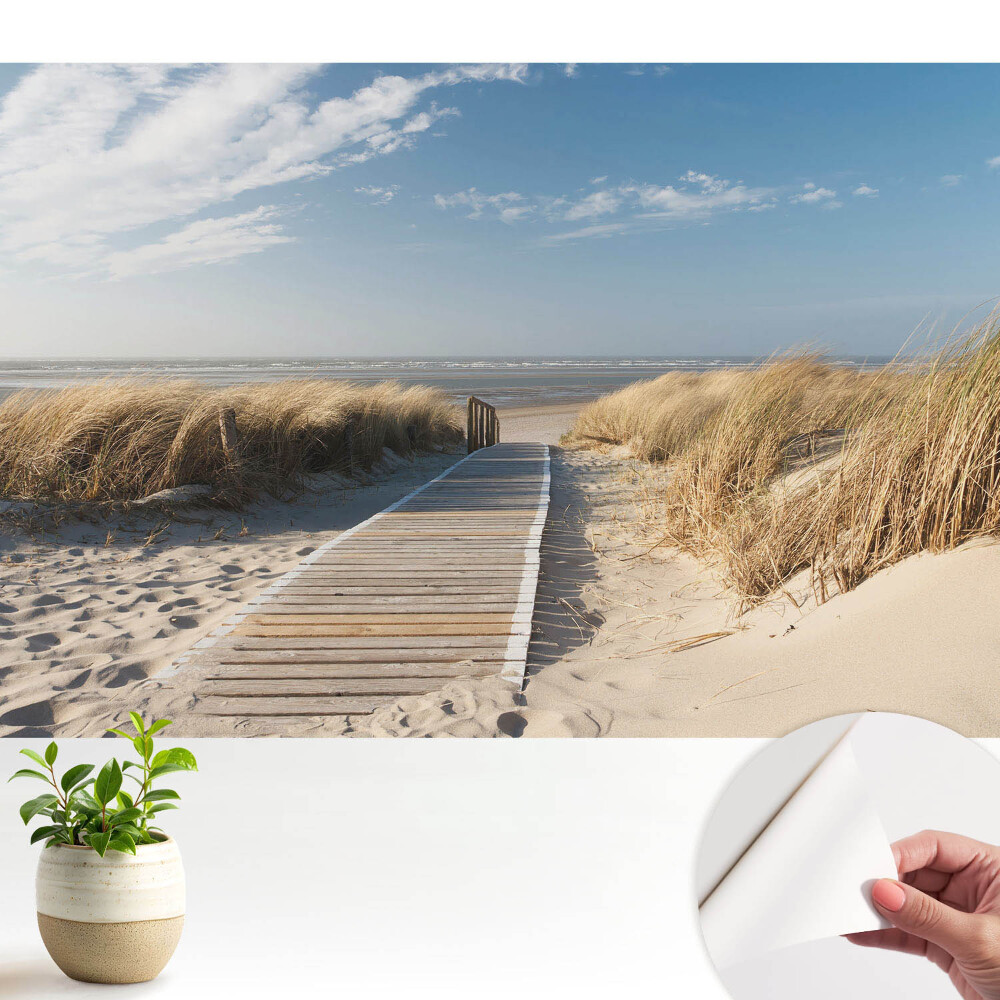 Tapeta fotograficzna samoprzylepna Nadmorska ścieżka wśród wydm