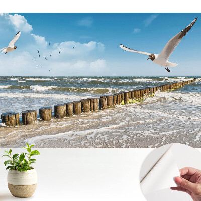 Nowoczesna fototapeta na wymiar Mewy nad morzem