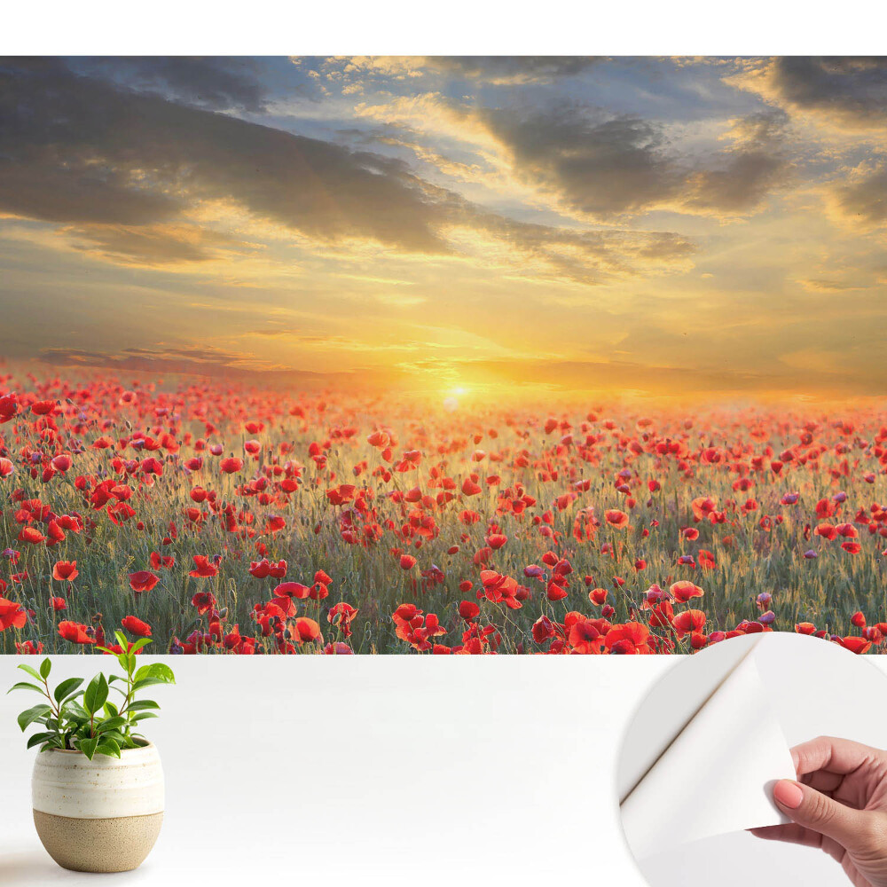 Fototapeta z nadrukiem samoprzylepna Pole maków o poranku zachwycający zachód słońca