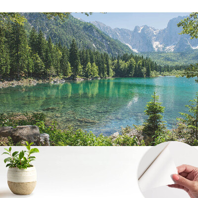 Fototapeta Naturalne piękno i harmonia