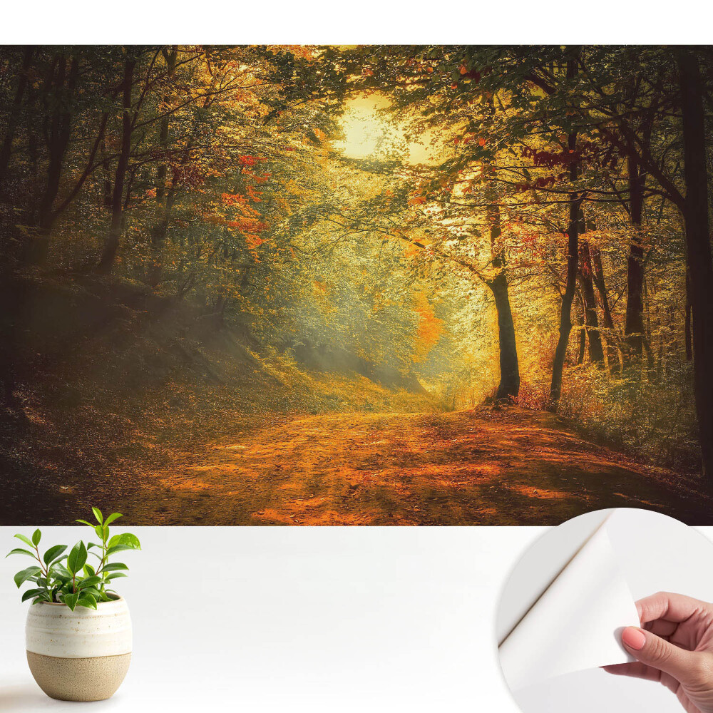 Fototapeta do salonu Magia jesiennego lasu