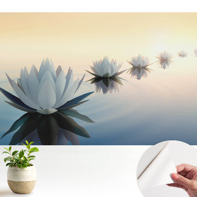 Fototapeta samoprzylepna do salonu Lotosy na wodzie