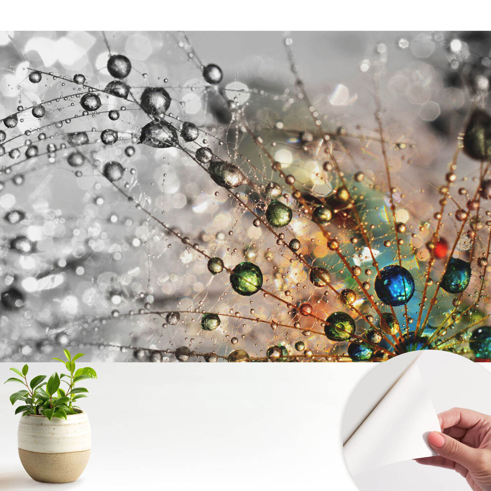 Nowoczesna fototapeta na wymiar Kolory kropli na pajęczynie