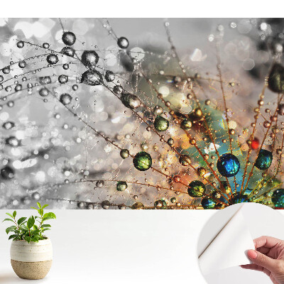 Nowoczesna fototapeta na wymiar Kolory kropli na pajęczynie