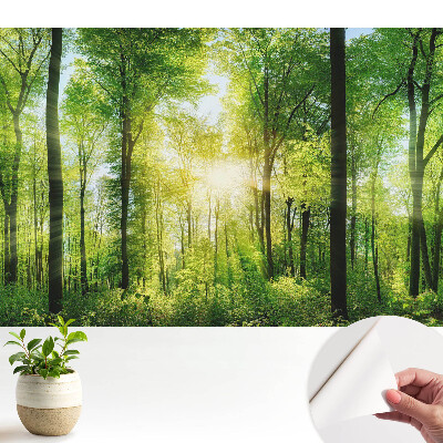 Fototapeta na wymiar do sypialni Zielony las w promieniach słońca