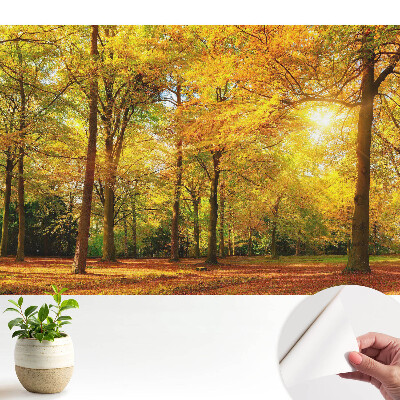 Fototapeta samoprzylepna do salonu Jesienna panorama lasu pełna barwnych liści