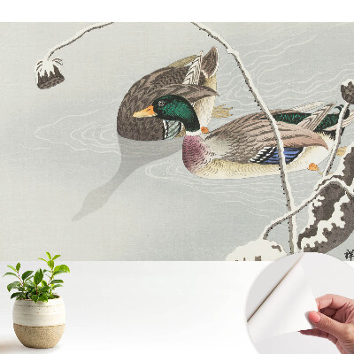 Fototapeta samoprzylepna do salonu Dwie kaczki na wodzie w klasycznym stylu