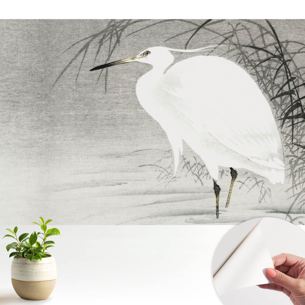 Fototapeta samoprzylepna do salonu Czapla na tle trzcin