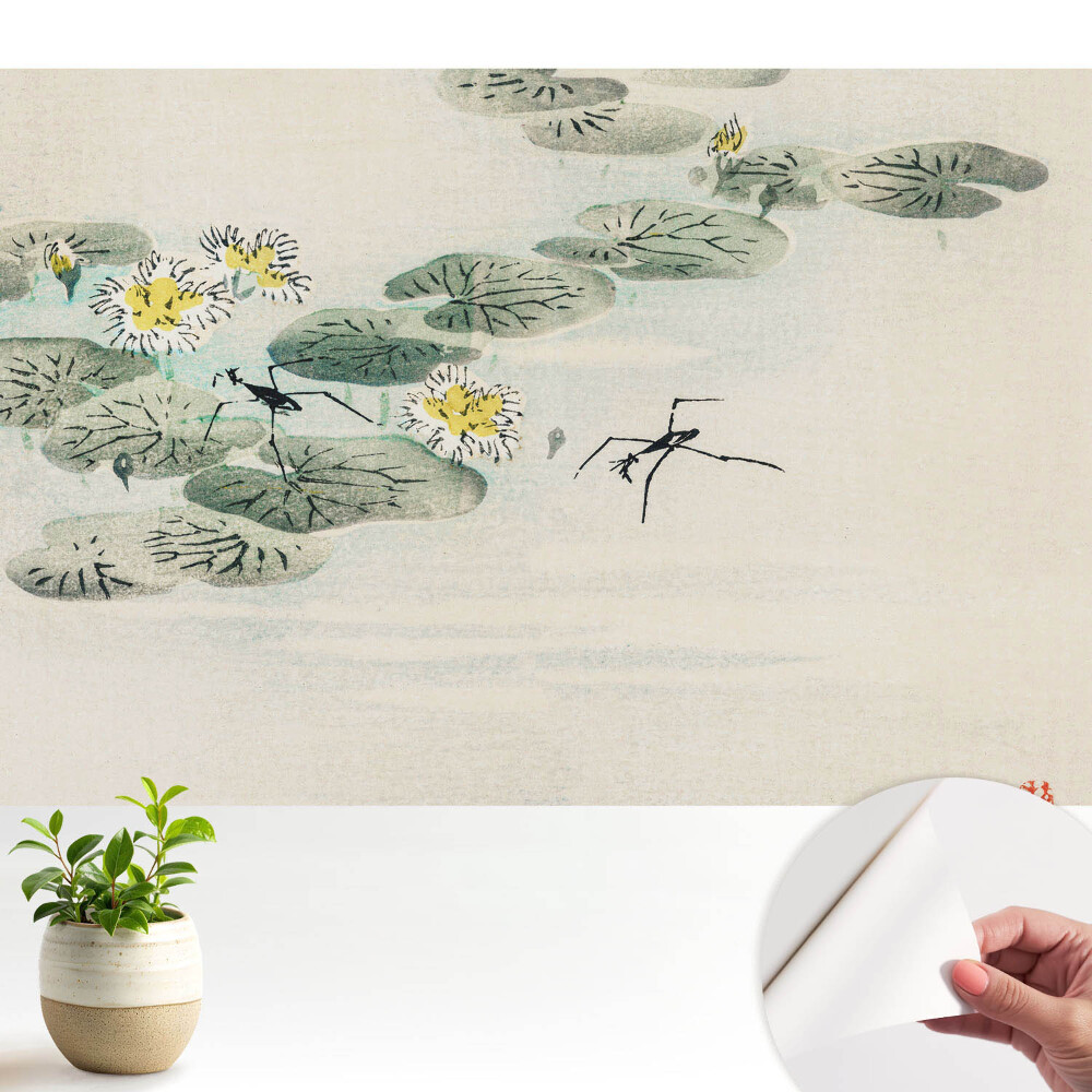 Tapeta fotograficzna samoprzylepna Lilie wodne na tle wody