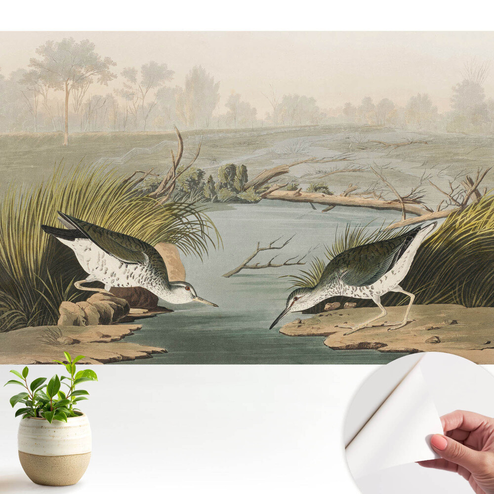 Tapeta fotograficzna samoprzylepna Ptaki nad jeziorem harmonia natury