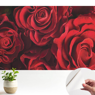Fototapeta samoprzylepna do salonu Czerwone róże harmonijnie eleganckie