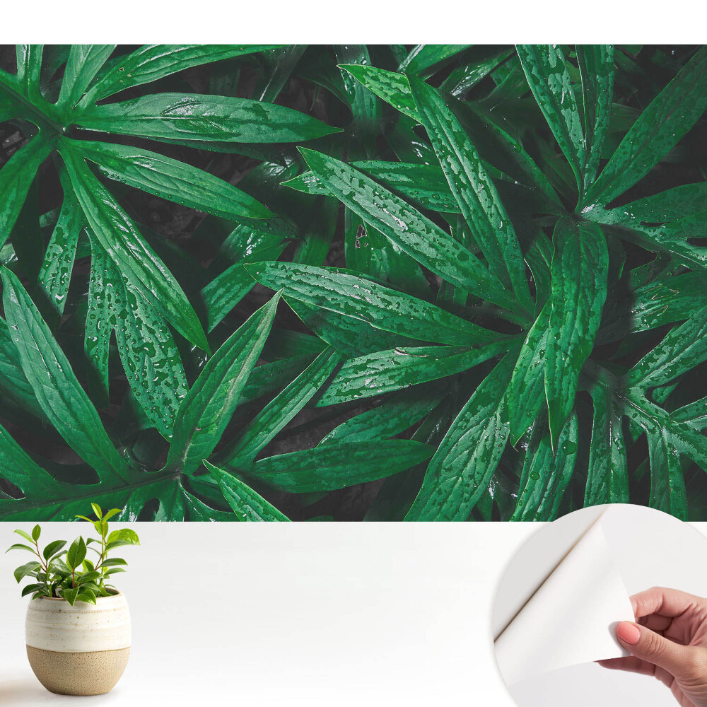 Fototapeta samoprzylepna do salonu Liście w bliskim ujęciu