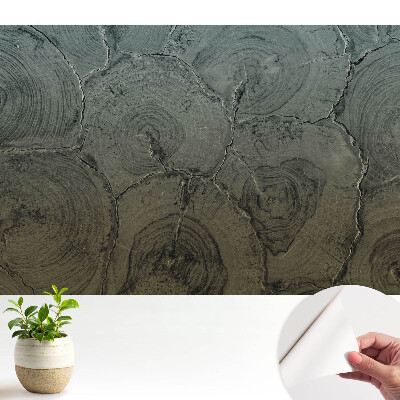 Fototapeta do salonu Szare słoje drewna klasyczny wzór