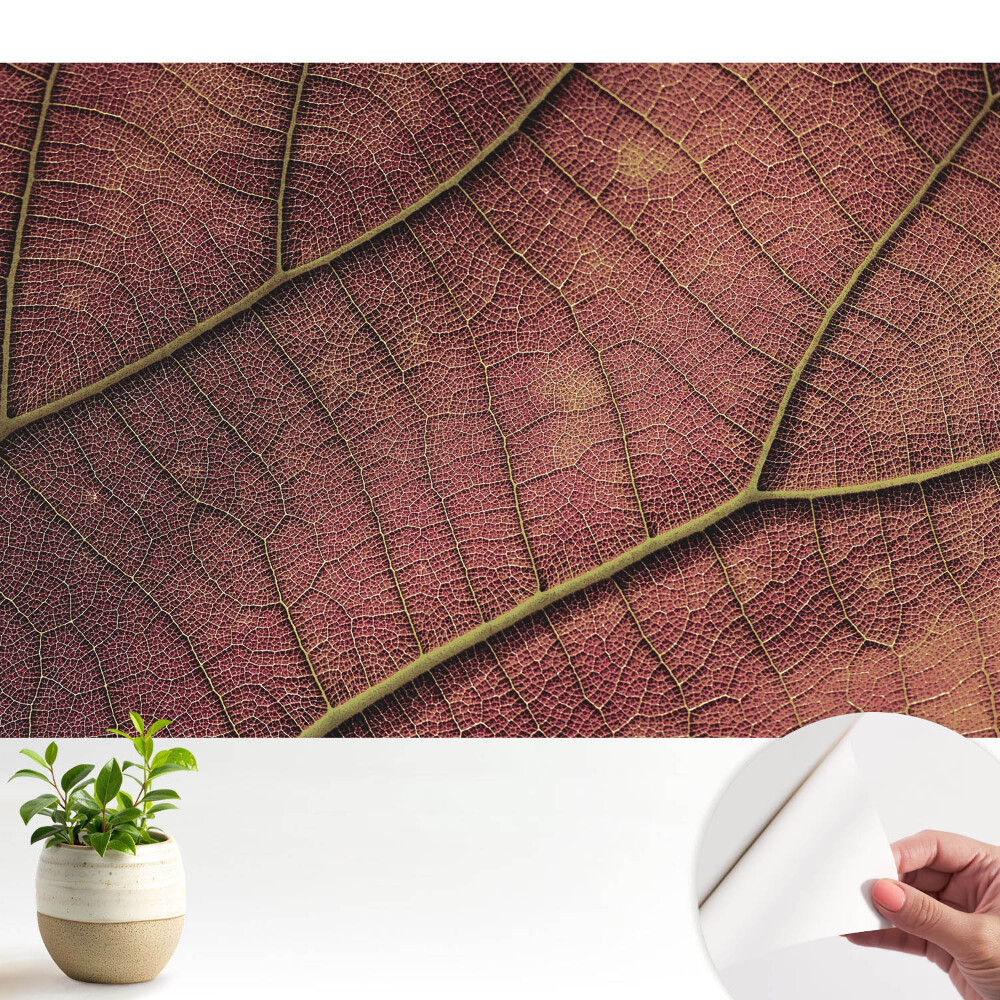 Fototapeta na wymiar do sypialni Struktura liścia pełna detali i kolorów