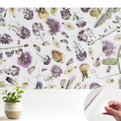 Fototapeta z nadrukiem samoprzylepna Zasuszone kwiaty na białym tle