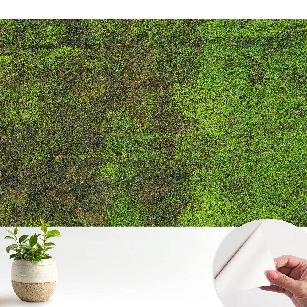 Nowoczesna fototapeta na wymiar Mech tekstura organiczna