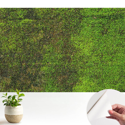 Nowoczesna fototapeta na wymiar Mech tekstura organiczna