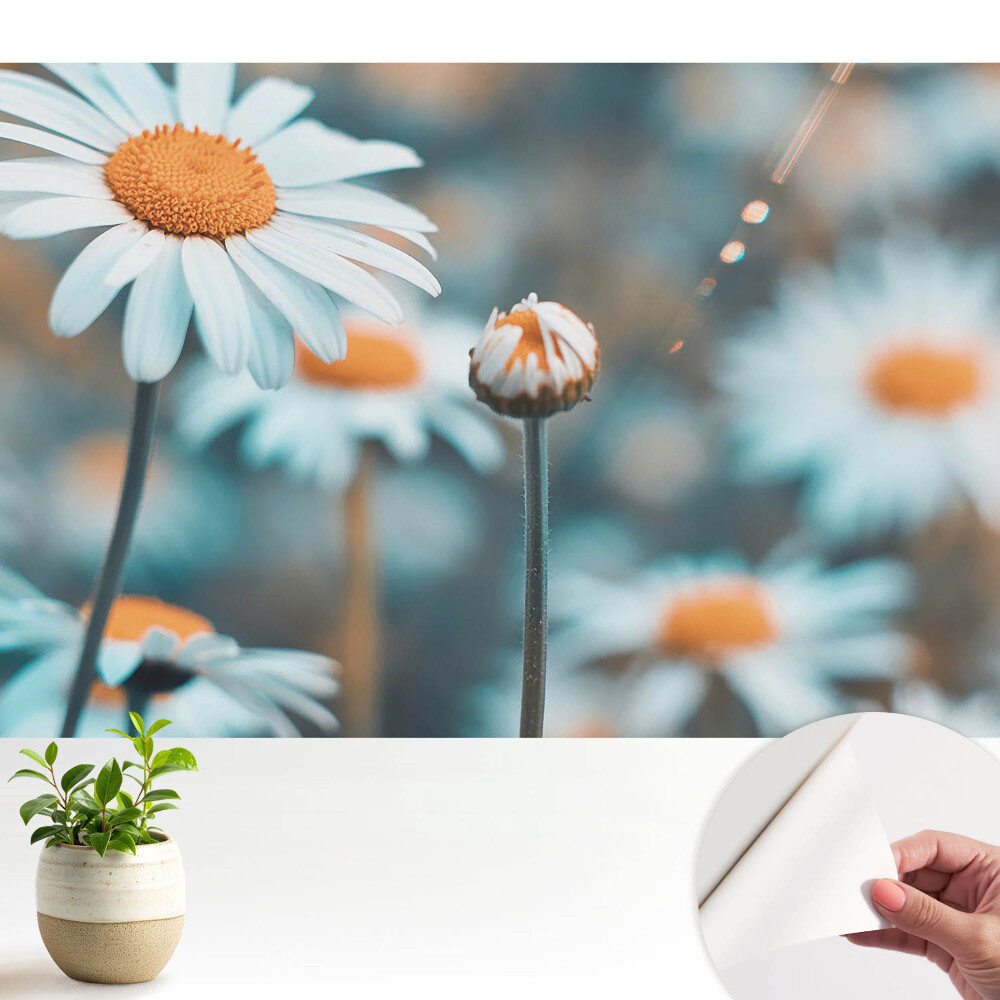 Nowoczesna fototapeta na wymiar Subtelne kwiaty rumianku przywołujące spokój