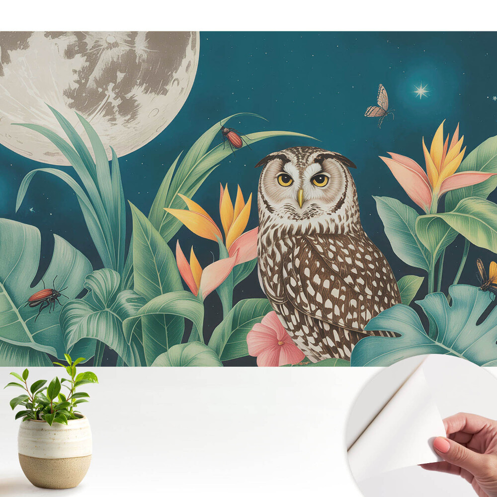 Tapeta fotograficzna samoprzylepna Nocny krajobraz z sową i księżycem