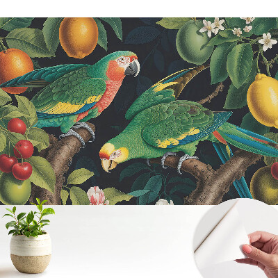 Tapeta fotograficzna samoprzylepna Egzotyczny motyw z papugami i owocami