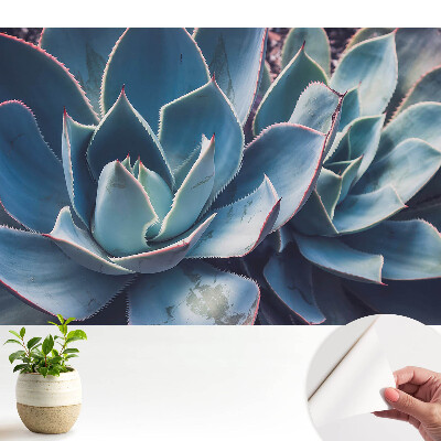 Nowoczesna fototapeta na wymiar Soczyste liście forma symetria minimalizm