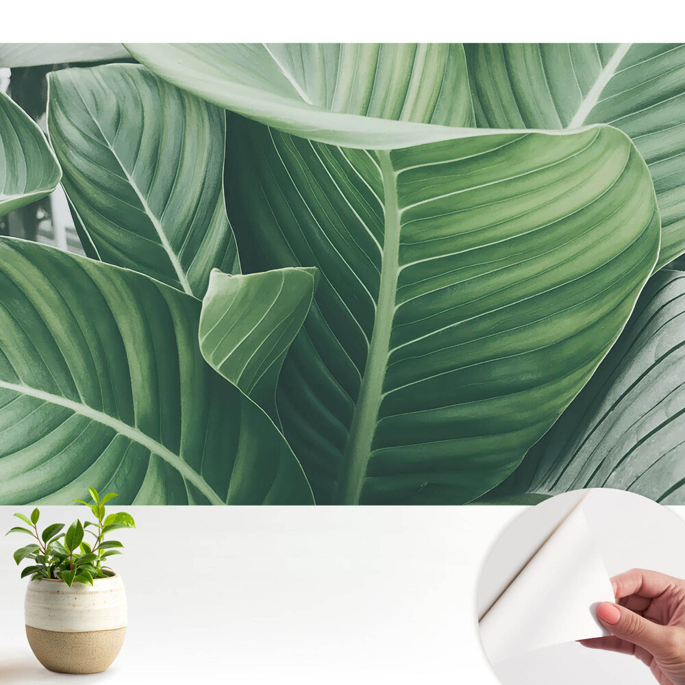 Tapeta fotograficzna samoprzylepna Zielone liście natura harmonia nowoczesność