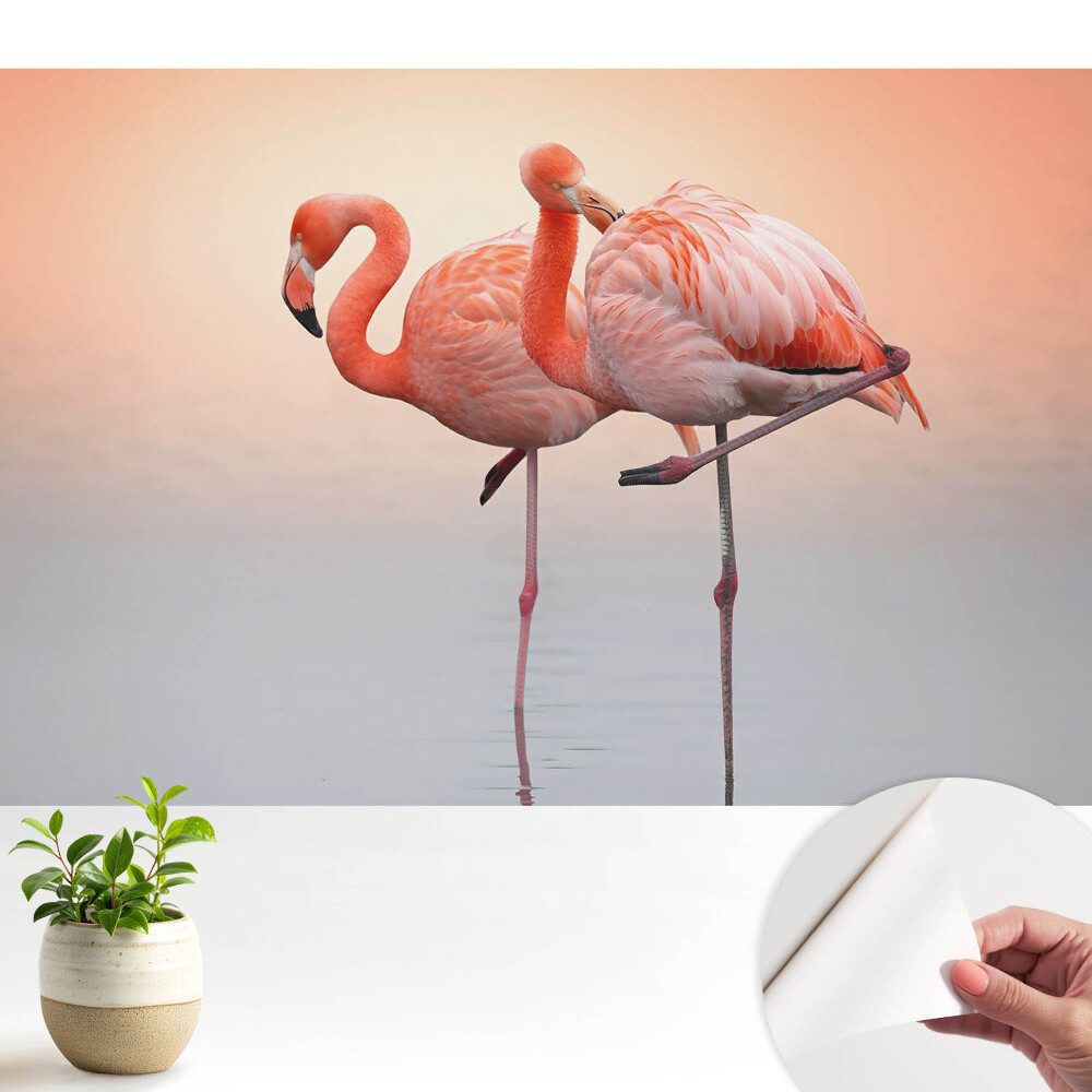 Tapeta fotograficzna samoprzylepna Flamingi na pastelowym tle
