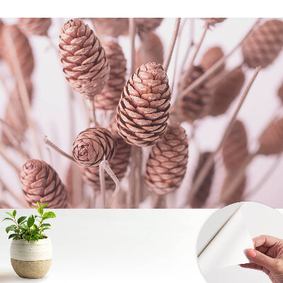 Fototapeta samoprzylepna do salonu Sosnowe szyszki w rustykalnym stylu