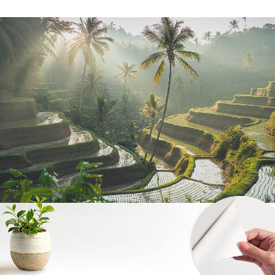 Fototapeta z nadrukiem samoprzylepna Egzotyczne tarasy ryżowe wśród palm