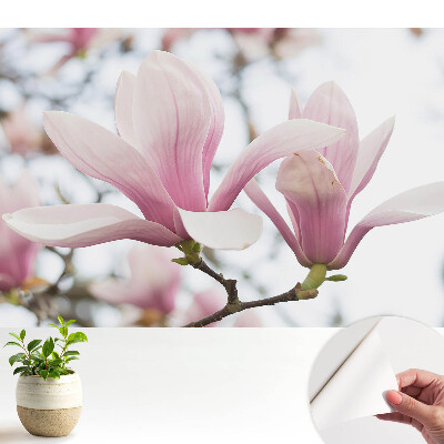 Fototapeta z nadrukiem samoprzylepna Różowe magnolie natura romantyczna