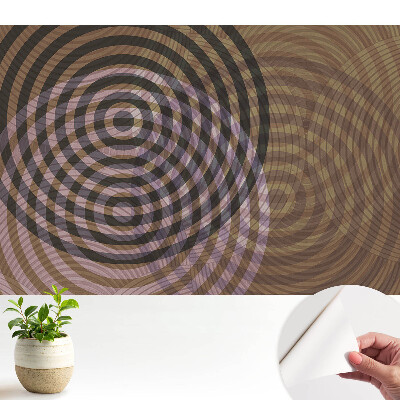Tapeta fotograficzna samoprzylepna Koncentryczne kręgi retro nowoczesność