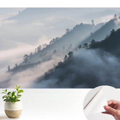 Fototapeta z nadrukiem samoprzylepna Pochmurny krajobraz gór i drzew