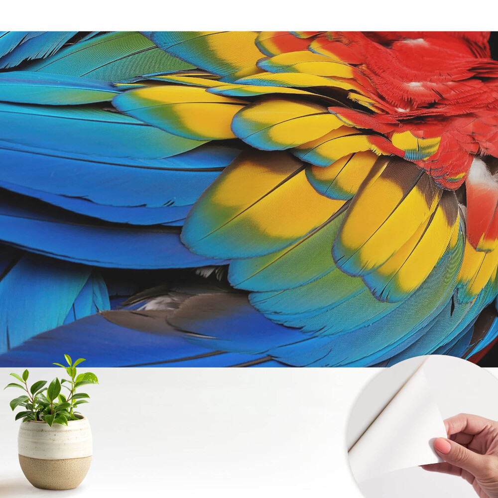 Tapeta fotograficzna samoprzylepna Energetyczna mozaika kolorowych piór