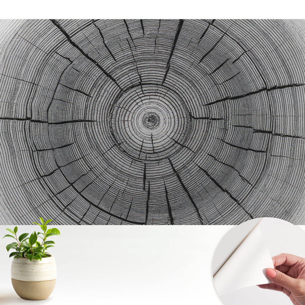 Fototapeta do salonu Drewniane kręgi symetryczna kompozycja