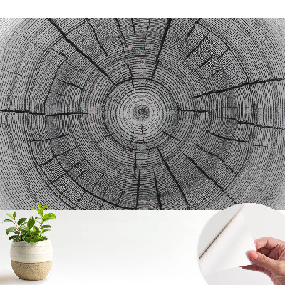 Fototapeta do salonu Drewniane kręgi symetryczna kompozycja