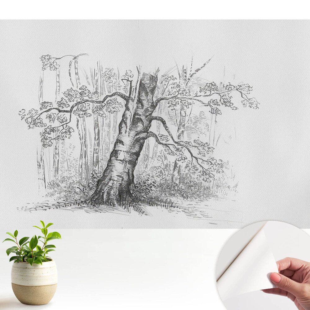 Fototapeta samoprzylepna do salonu Rysunek drzewa w lesie