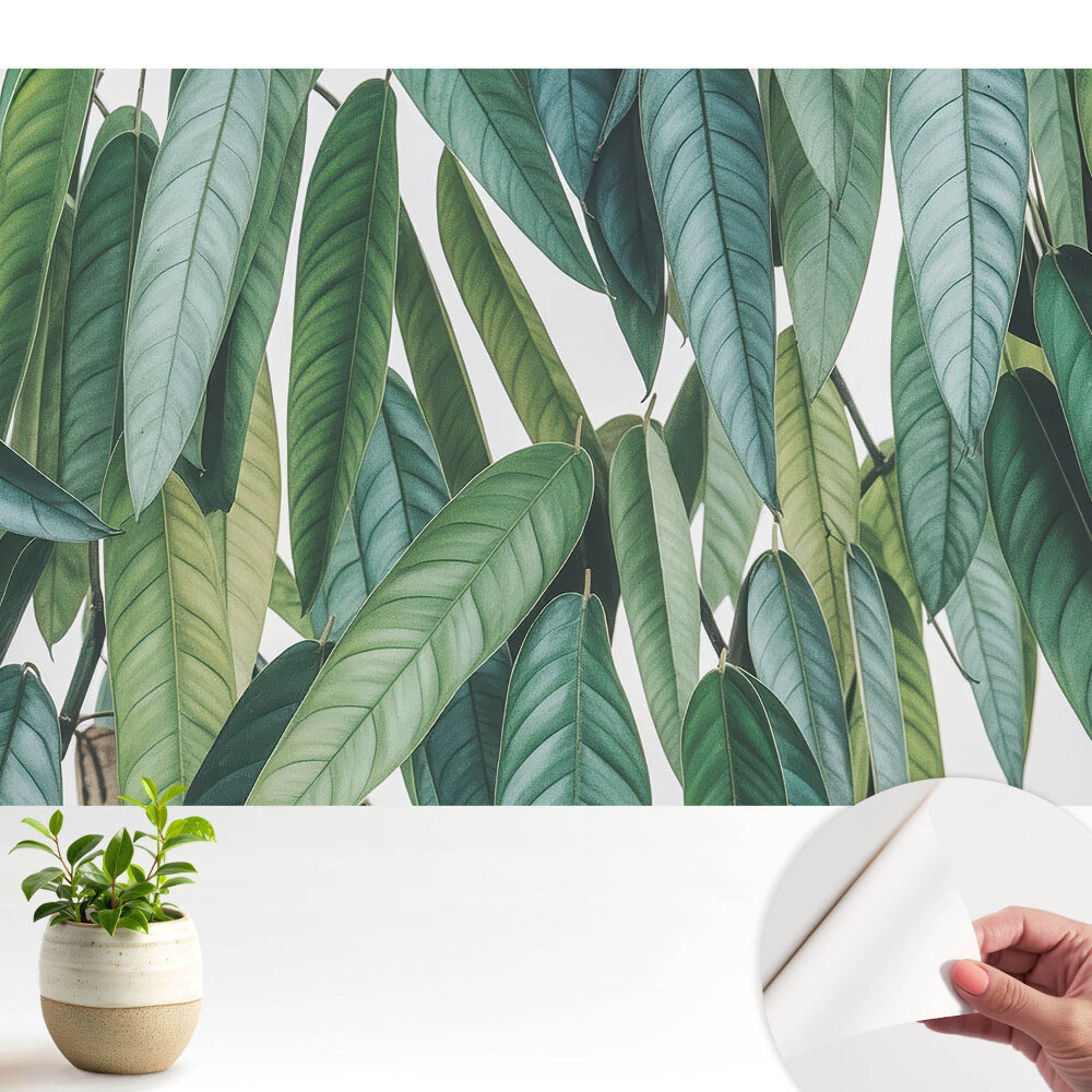 Tapeta fotograficzna samoprzylepna Zielone liście minimalizm natura