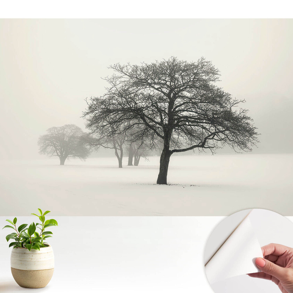 Fototapeta na wymiar do sypialni Drzewa we mgle zimowy krajobraz